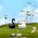Royal Swan Garden Decoration